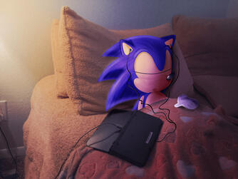 Sleepy Hedgehog